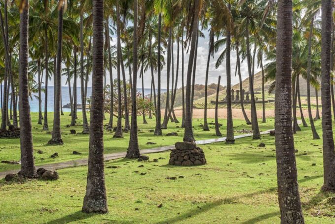 2 Half Days & 2 Full Days Private Tours | OPTION B - Frequently Asked Questions