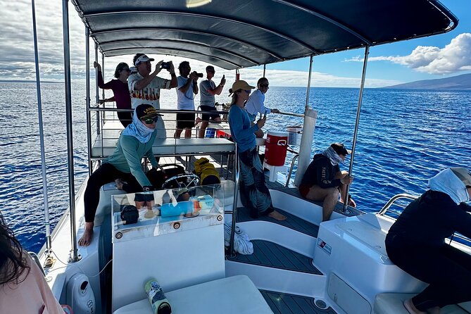 2 Hour Afternoon Lahaina Whale Watch - Meeting and Pickup