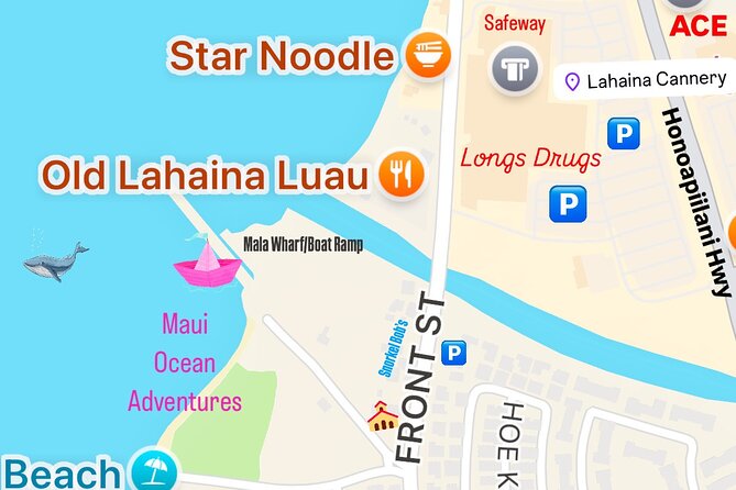 2 Hour Afternoon Lahaina Whale Watch - Boat Comfort