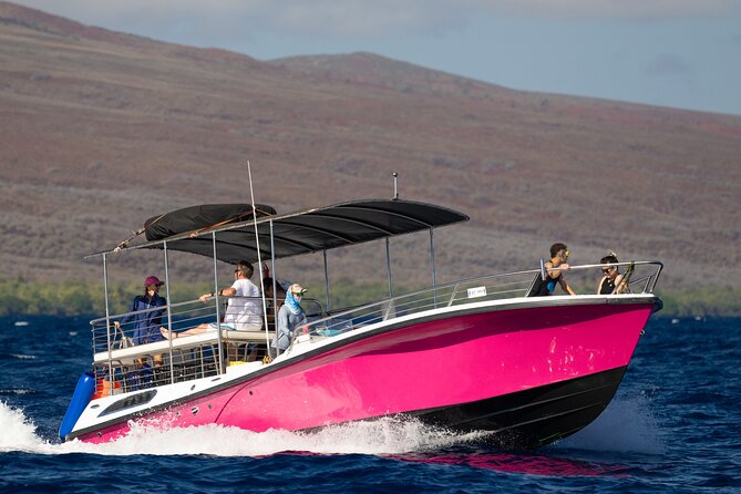 2 Hour Afternoon Lahaina Whale Watch - Unique Encounters