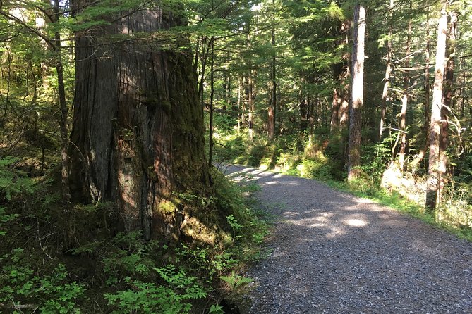 2 Hour Alaska Rainforest Walk and Totem Park Small Group Tour - Confirmation and Accessibility