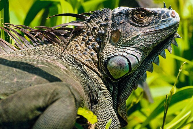 2 Hour ATV Experience From Guanacaste - Adventurous Highlights