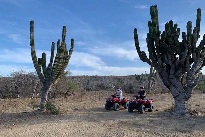2-Hour ATV Riding Experience in San Jose Del Cabo - Pickup Information