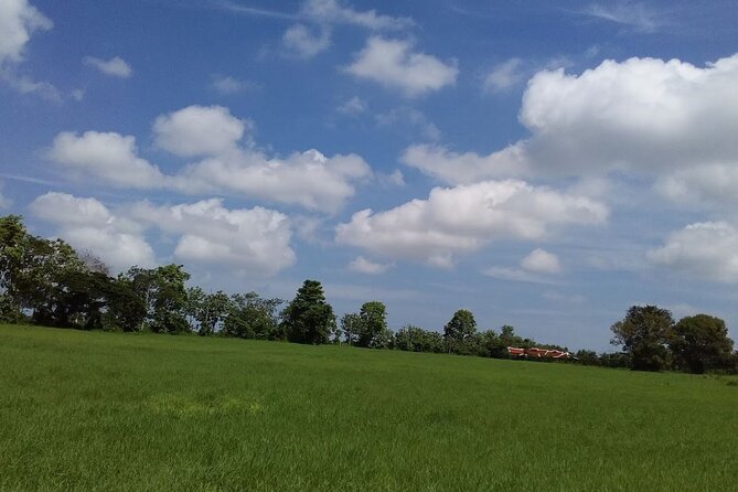 2-Hour ATV Riding Ultimate Off Road Hillside in Pattaya - Terrain and Landscape