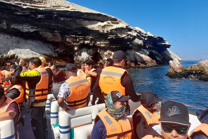 2-Hour Ballestas Islands Tour by Modern Boat - Experiencing the Ballestas Islands Up Close