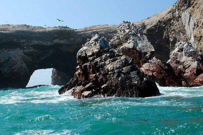 2-Hour Ballestas Islands Tour by Modern Boat - What to Expect on the Ballestas Islands Tour