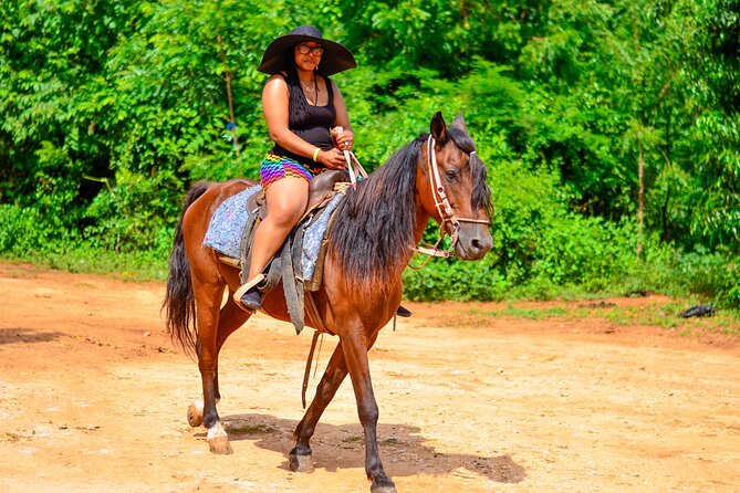 2-Hour Beach Horseback Riding in Punta Cana + Gift SIM Card - Pickup and Transportation Details