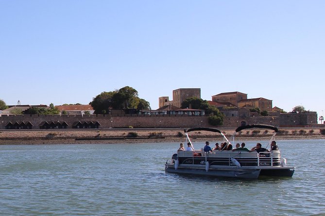2-Hour Bird Watching Guided Boat Trip in Ria Formosa From Faro Algarve - Overview of the Tour