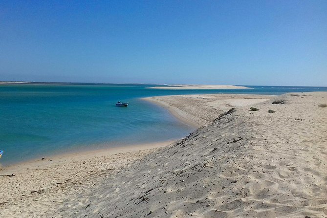 2-Hour Bird Watching Guided Boat Trip in Ria Formosa From Faro Algarve - Meeting Point and Transport