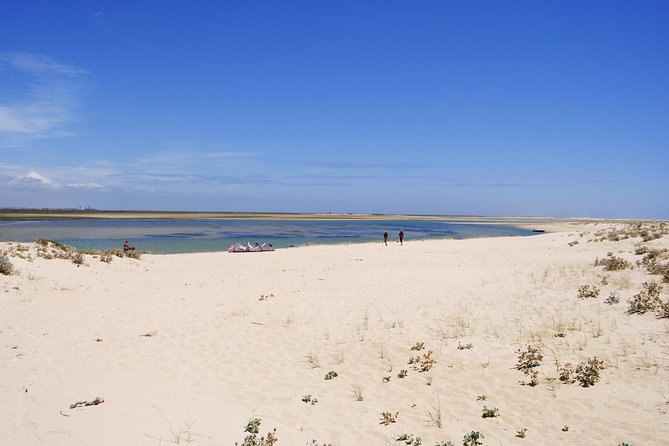 2-Hour Bird Watching Guided Boat Trip in Ria Formosa From Faro Algarve - Deserted Beach Stop