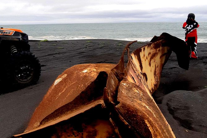 2-Hour Black Sand Beach Buggy Tour From Hella - Booking Information