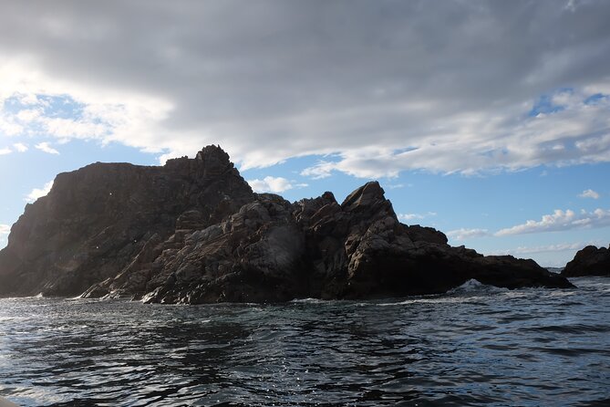 2 Hour Boat Tour in Twillingate - Directions to the Location