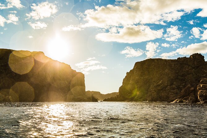 2 Hour Boat Tour in Twillingate - Boat Tour Logistics
