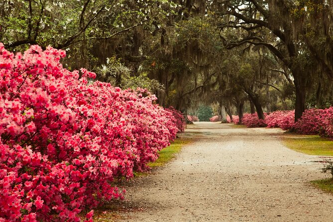 2-Hour Bonaventure Cemetery Walking Tour - Cemetery Highlights