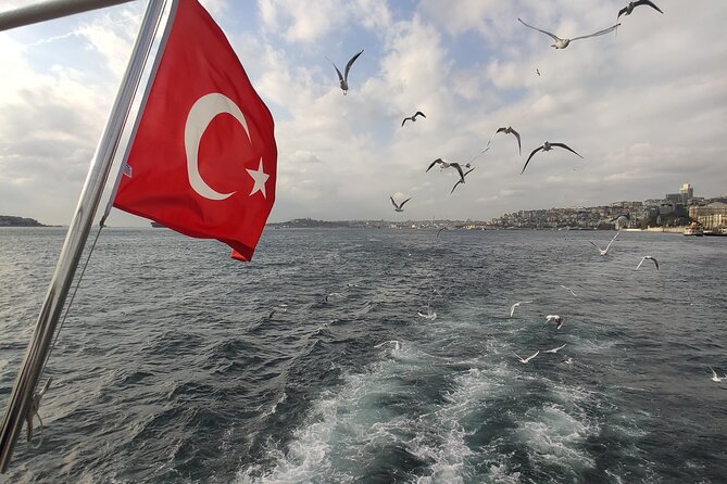 2-Hour Bosphorus Cruise in Istanbul With Guide - Small Group Experience