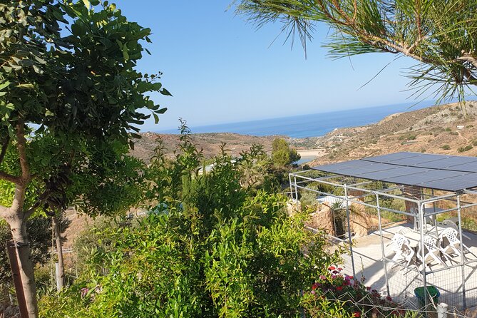 2-Hour Botanic Garden Tour in Akoursos - Tour Capacity
