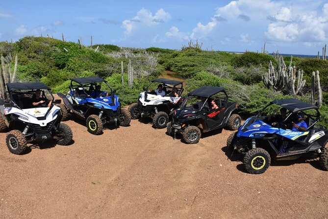 2-Hour Buggy Adventure Tour in Curacao - Tour Experience and Highlights