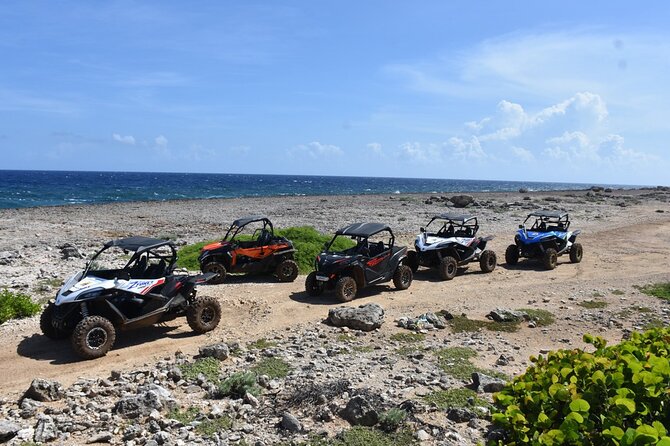 2-Hour Buggy Adventure Tour in Curacao - Handling and Safety Measures