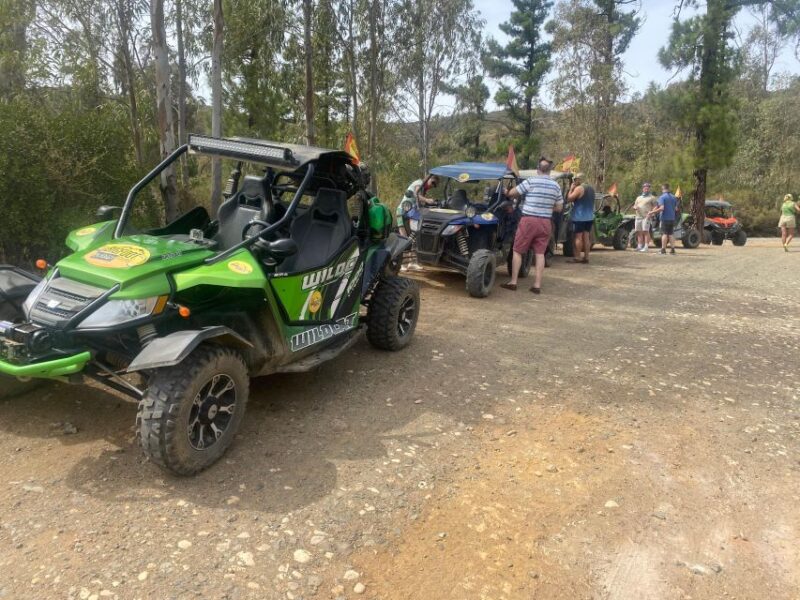 2 Hour Buggy Tour Through the Hills and Mountains of Mijas. - Buggy Requirements