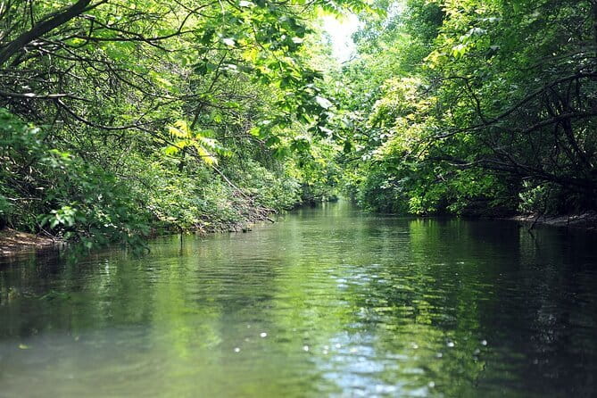 2 Hour Canoe on the Bibi River - Canoeing Experience