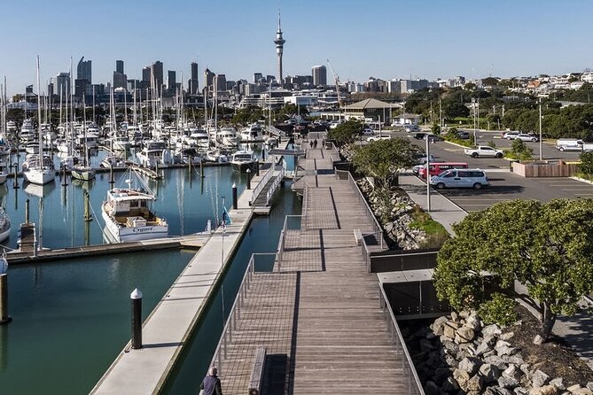 2-Hour City Tour in Auckland - Customer Feedback