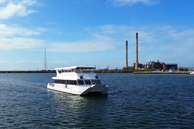 2-Hour Dolphin and Maritime Cruise in Port Adelaide - A Detailed Look at the Cruise Experience