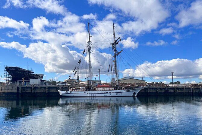2-Hour Dolphin and Maritime Cruise in Port Adelaide - Authentic Feedback from Travelers