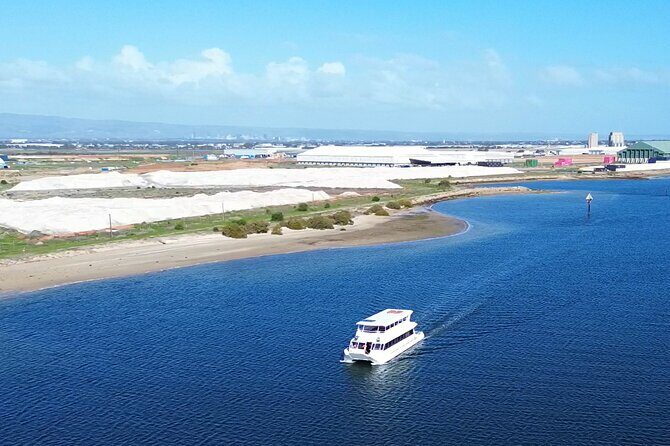 2-Hour Dolphin and Maritime Cruise in Port Adelaide - The Sum Up