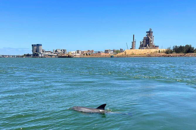 2-Hour Dolphin and Maritime Cruise in Port Adelaide - FAQ