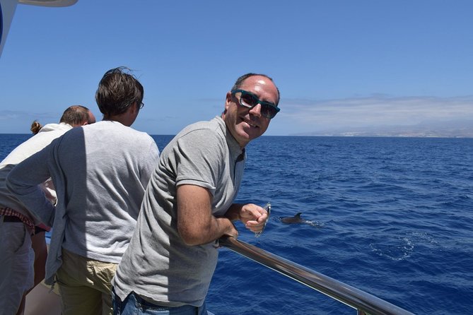 2-Hour Dolphin and Whale Watching in Gran Canaria - Tour Inclusions