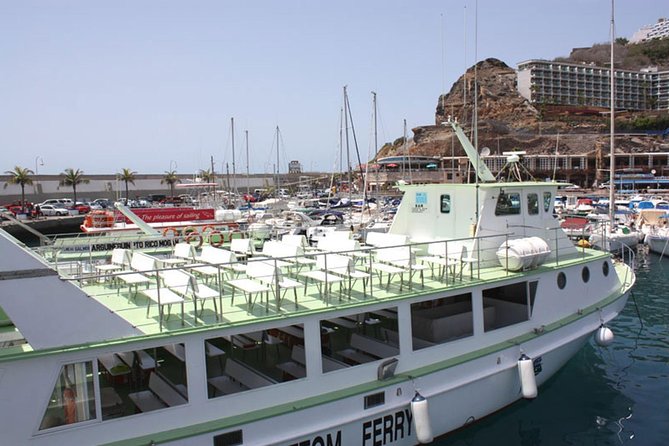 2-Hour Dolphin and Whale Watching in Gran Canaria - Additional Considerations