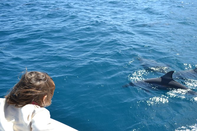 2-Hour Dolphin Excursion in Mauritius - Snorkeling Alongside Dolphins