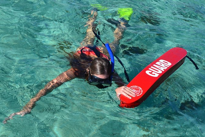 2-Hour Dolphin Excursion in Mauritius - Tour Operator and Reviews
