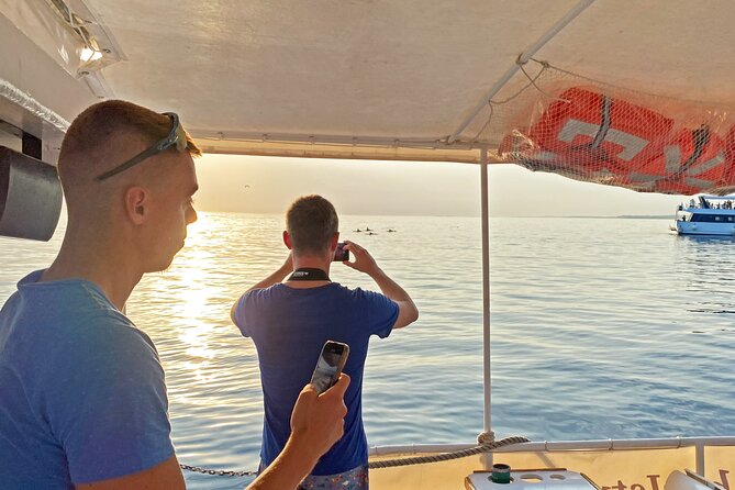 2-Hour Dolphin Guided Safari NP Brijuni From Fazana - Tour Expectations and Accessibility