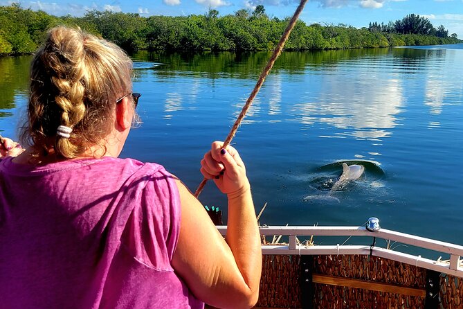 2 Hour Dolphin Sightseeing Tour in Melbourne Florida - Key Points