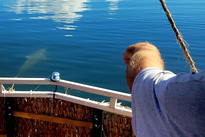 2 Hour Dolphin Sightseeing Tour in Melbourne Florida - Frequently Asked Questions