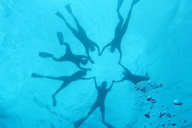 2-Hour Dolphin Watching and Double Reef With Snorkel in Hawaii - Booking and Cancellation Policy