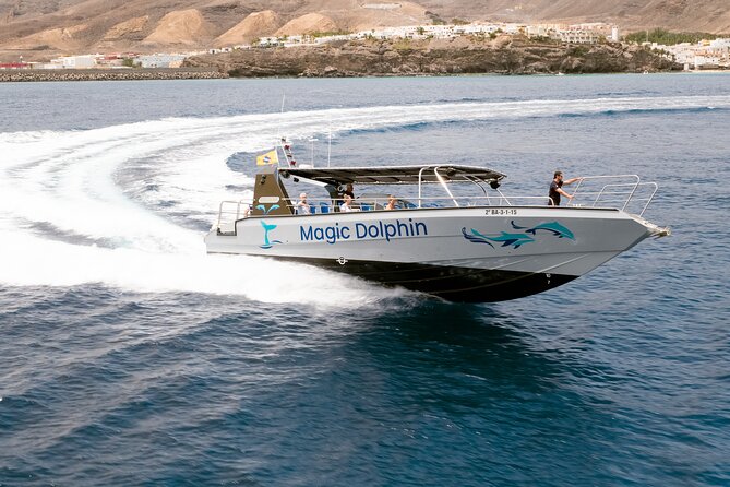 2-Hour Dolphin Watching Experience in Fuerteventura - Onboard Amenities and Inclusions