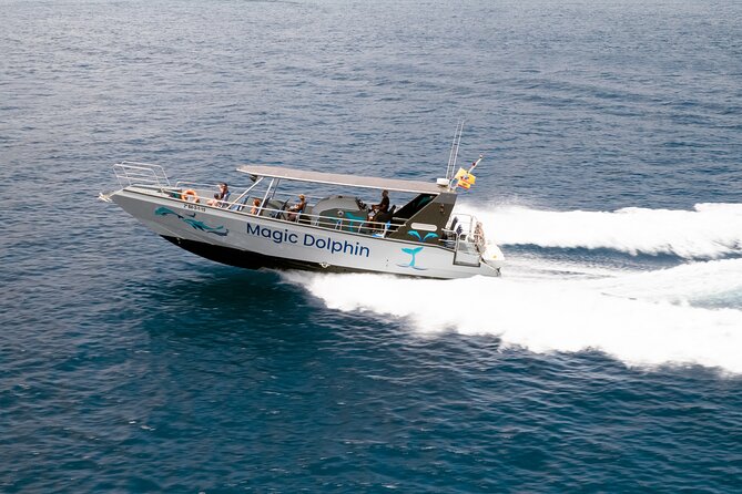 2-Hour Dolphin Watching Experience in Fuerteventura - Customer Reviews and Feedback