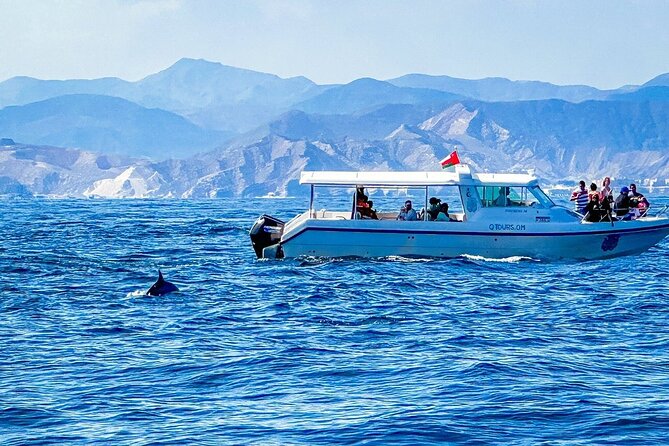 2 Hour Dolphin Watching Experience in Muscat - Whats Included