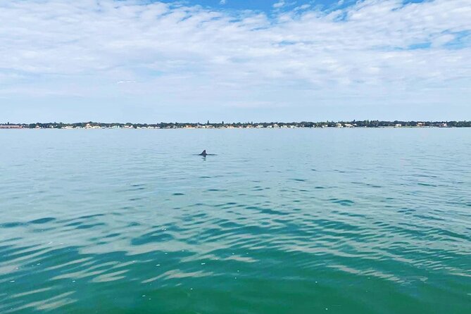 2-Hour Dolphin Watching Tour in Florida - Booking Details and Policies