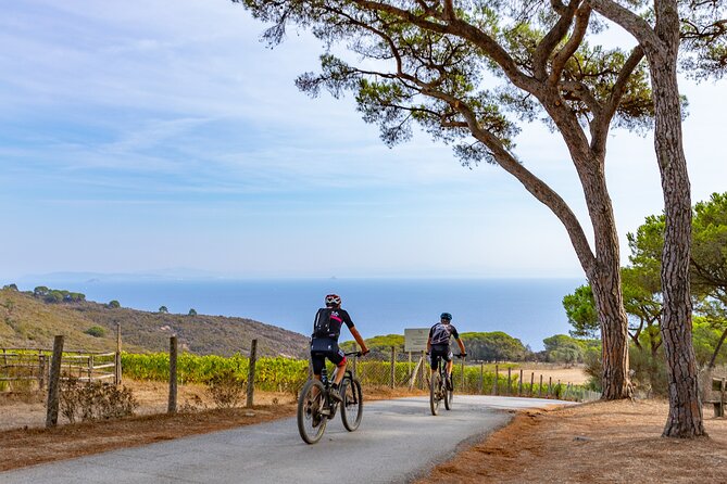 2-Hour E-Bike Tour With Wine Tasting in Tenuta Delle Ripalte - Inclusions