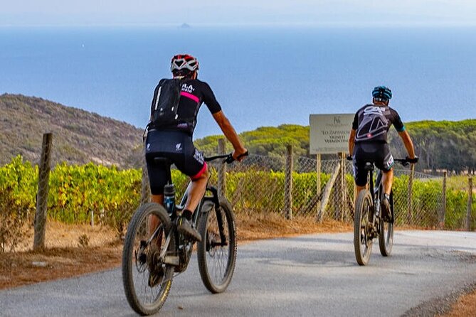 2-Hour E-Bike Tour With Wine Tasting in Tenuta Delle Ripalte - Scenic Ride Experience