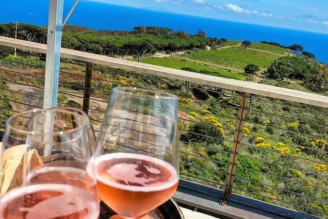 2-Hour E-Bike Tour With Wine Tasting in Tenuta Delle Ripalte - Practical Information