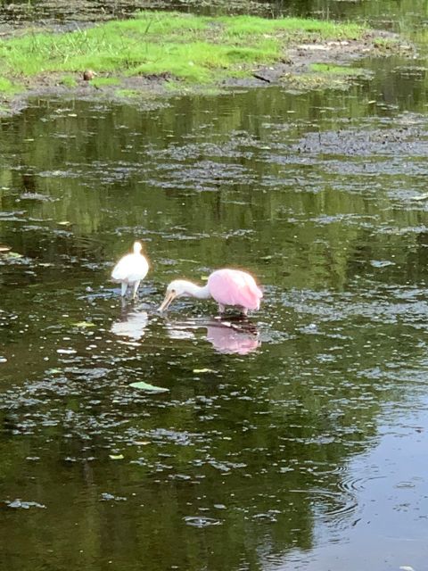 2 Hour Eco Tour - Booking Information