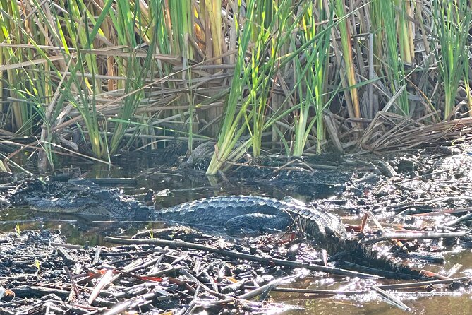 2 Hour Exclusive Everglades Airboat Safari - Recommended Attire and Preparations