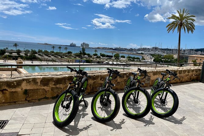 2-Hour Exclusive Fat Tire E-Bike Tour in Palma - Included and Excluded Items