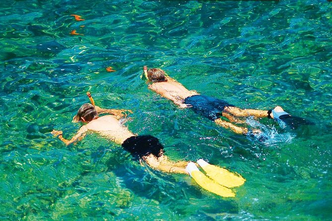 2-Hour Excursion in a Catamaran Around the Bay of Mallorca - Tour Reviews