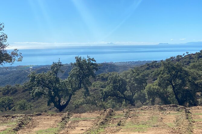 2 Hour Family Buggy Tour, Off-Road Adventure in Mijas - Meeting and Accessibility