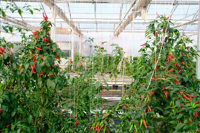 2-Hour Farm Experience in Gateway Yarra Valley - The Sum Up